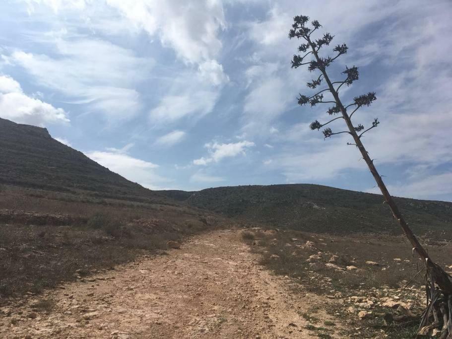 Cortijo Los Garridos - 8 Huespedes Fernan Perez Kültér fotó