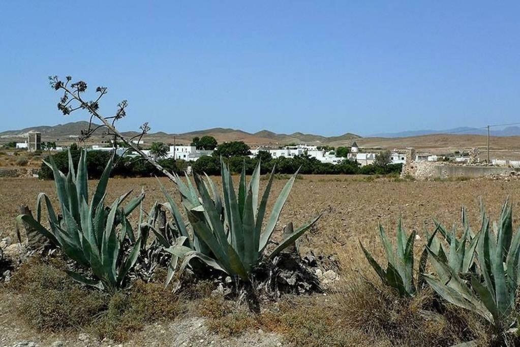 Cortijo Los Garridos - 8 Huespedes Fernan Perez Kültér fotó